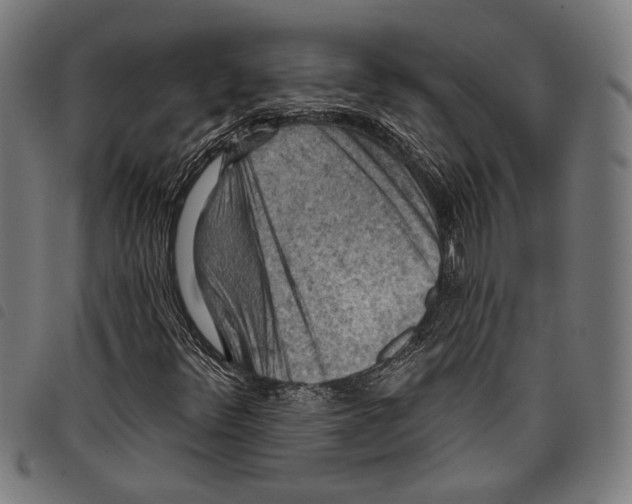 X0000097771348200804041143