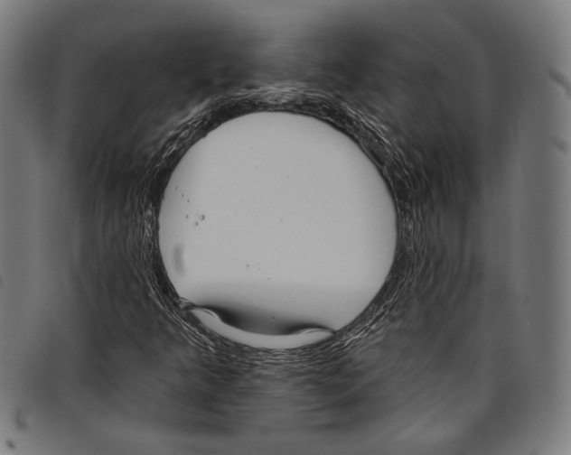 X0000097771349200804041143