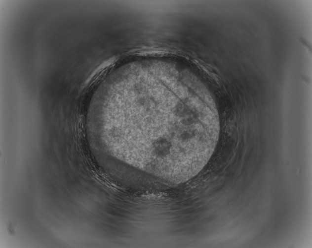 X0000097771351200804041143