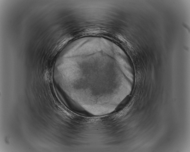 X0000097771353200804041143