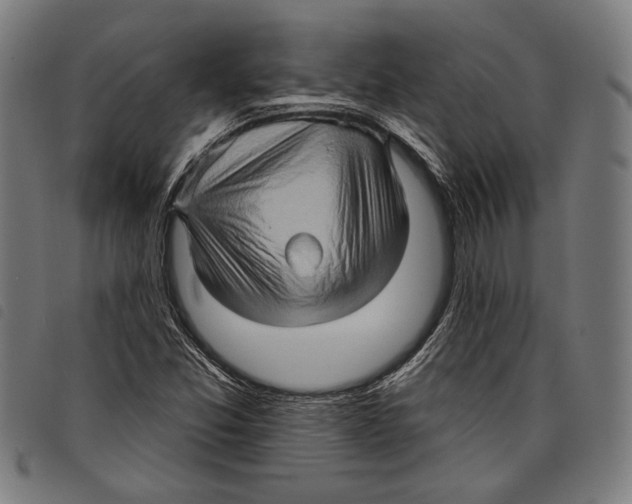 X0000097771357200804041143