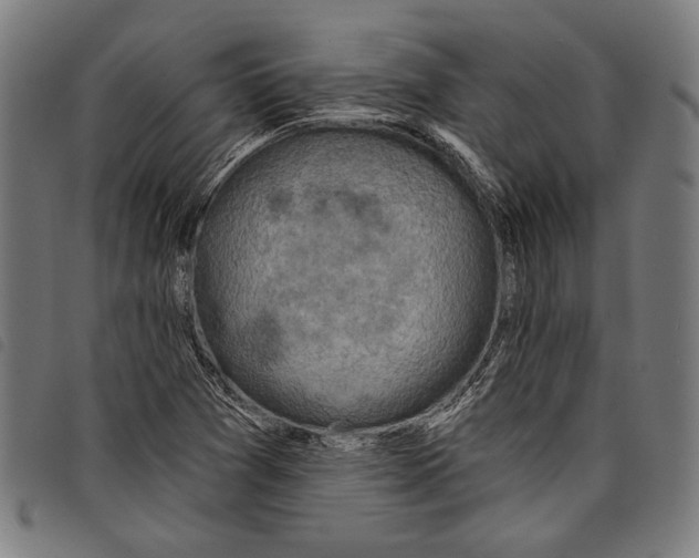 X0000097771361200804041143