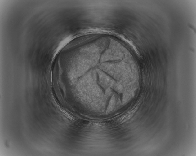 X0000097771365200804041143