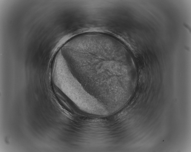 X0000097771367200804041143