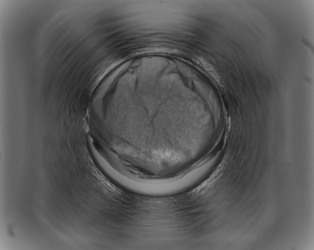 X0000097771369200804041143