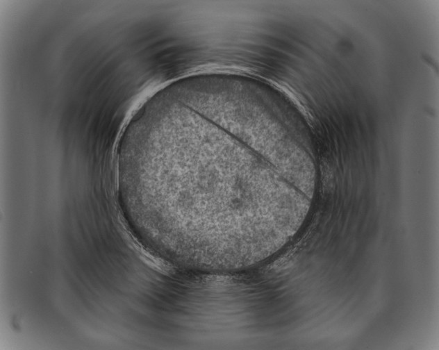 X0000097771371200804041143