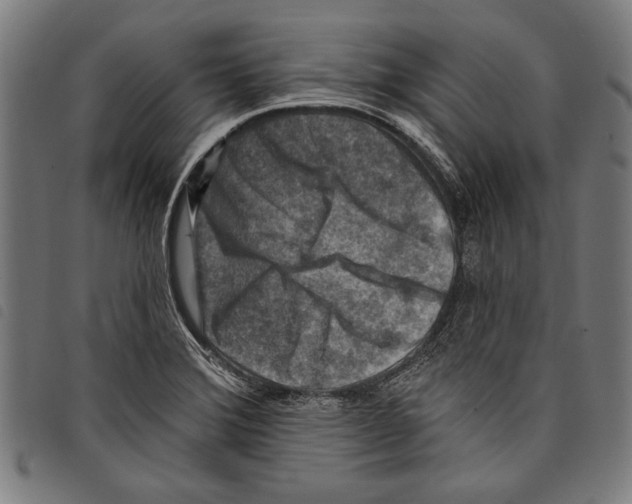 X0000097771372200804041143