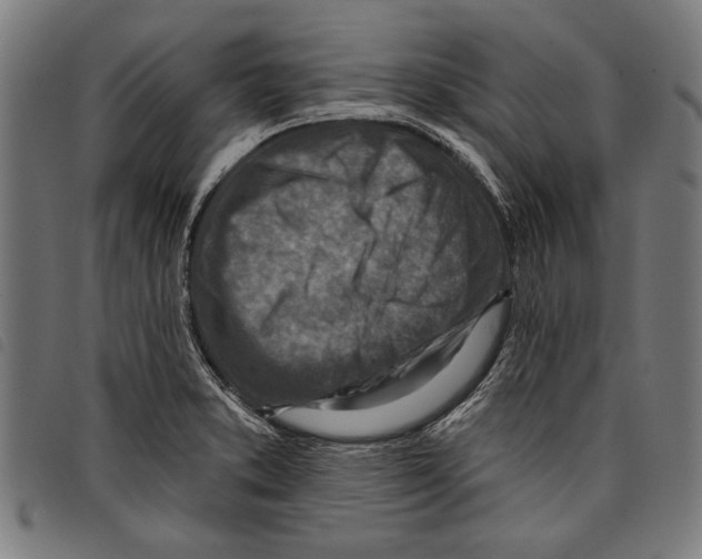 X0000097771373200804041143