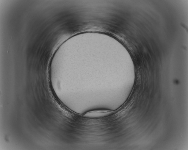 X0000097771375200804041143