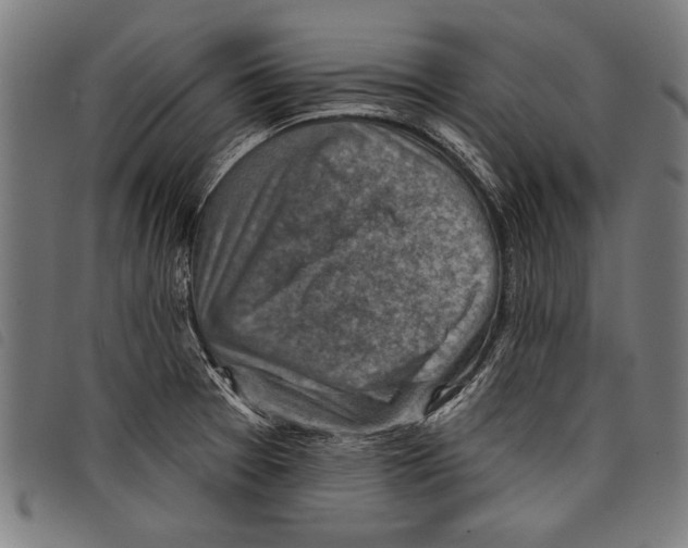 X0000097771377200804041143