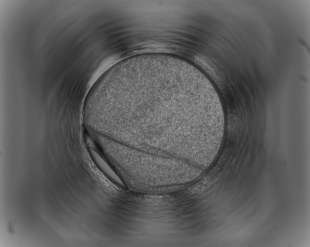 X0000097771378200804041143