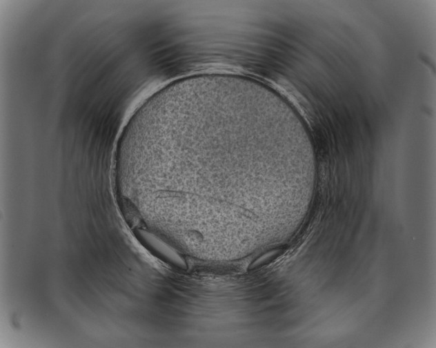 X0000097771379200804041143