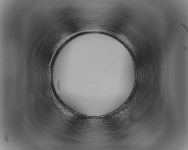 X0000097771380200804041143