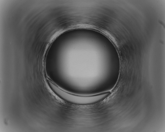 X0000097771381200804041143