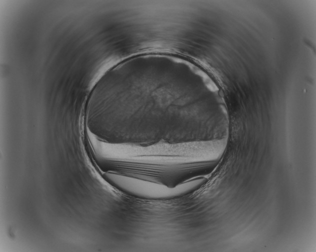X0000097771383200804041143