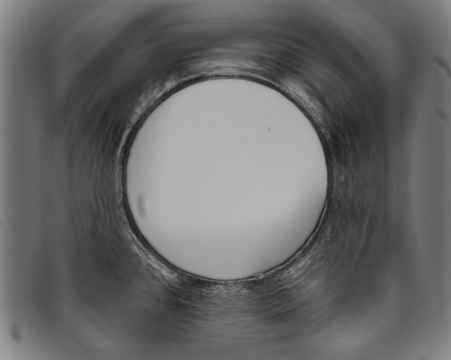 X0000097771384200804041143