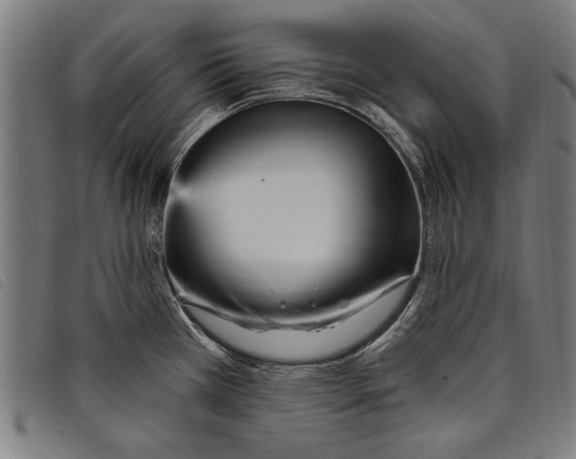 X0000097771385200804041143