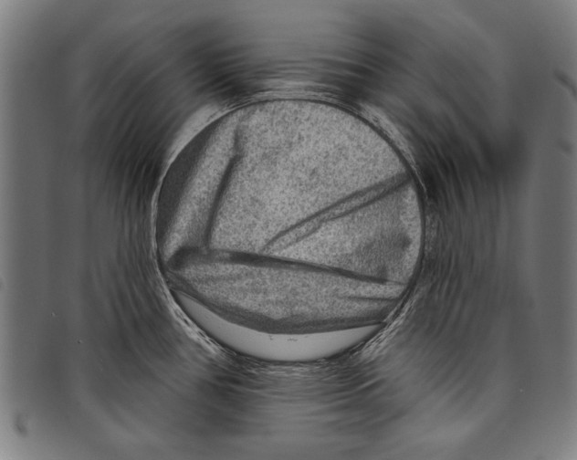 X0000097771386200804041143