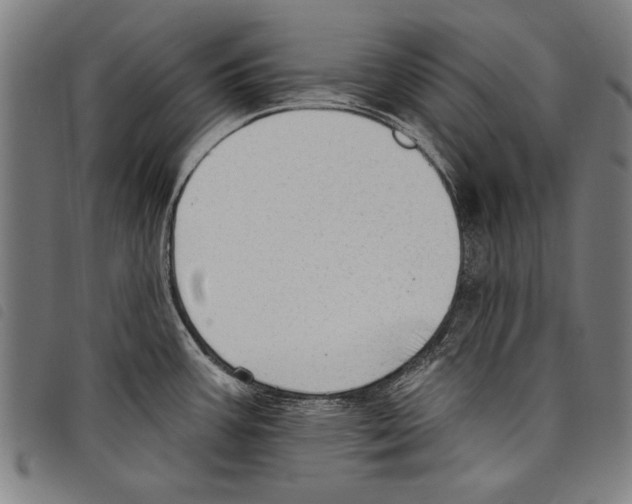 X0000097771387200804041143