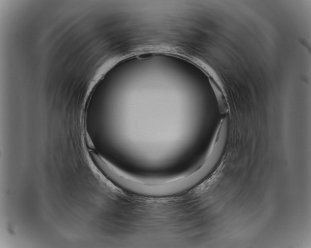 X0000097771389200804041143