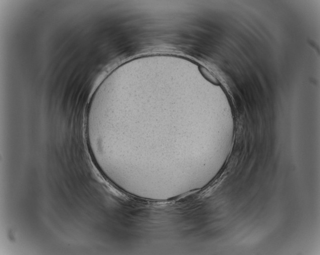 X0000097771390200804041143