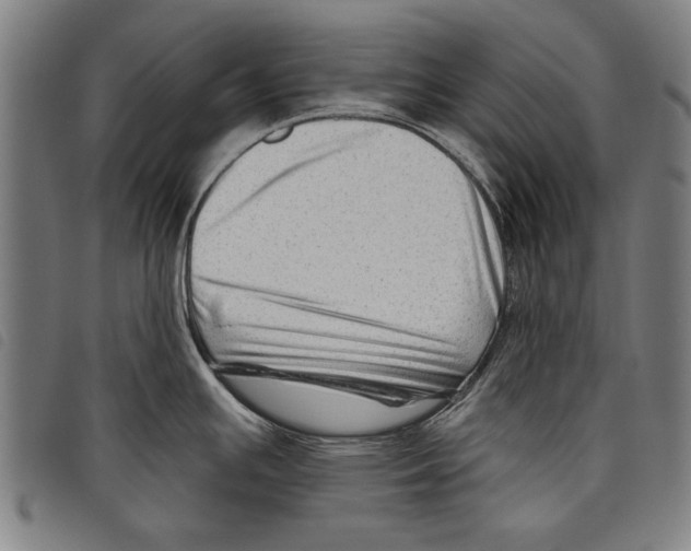 X0000097771391200804041143