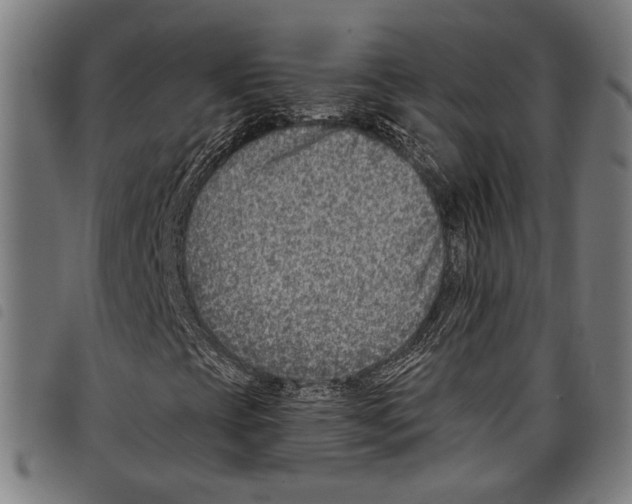 X0000097771393200804041142