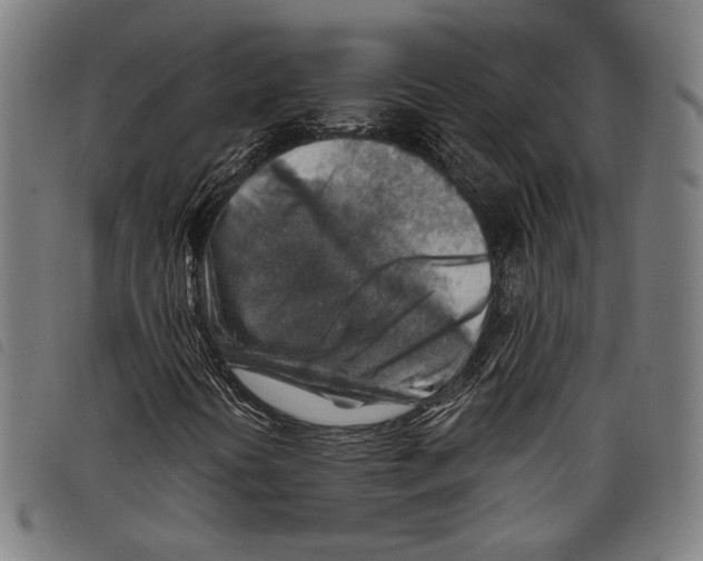 X0000097771394200804041142