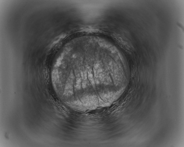 X0000097771398200804041142