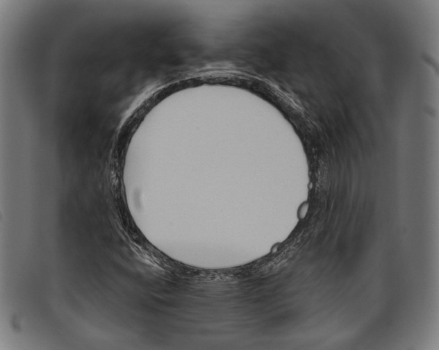 X0000097771400200804041142