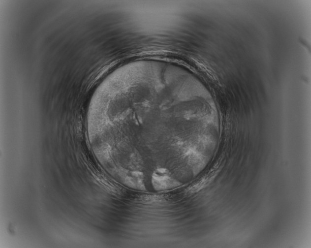 X0000097771401200804041142