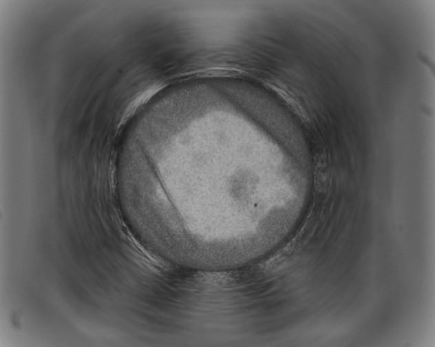 X0000097771402200804041142