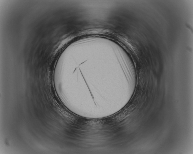 X0000097771404200804041142