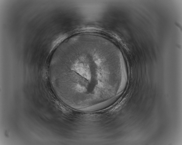 X0000097771405200804041142