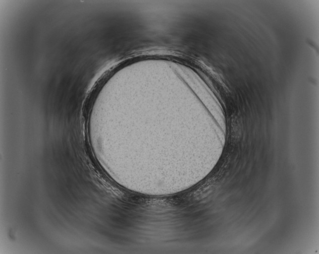 X0000097771408200804041142