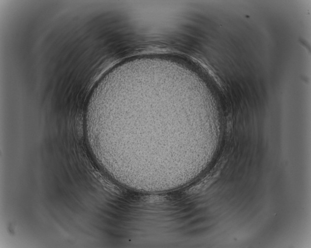 X0000097771409200804041142