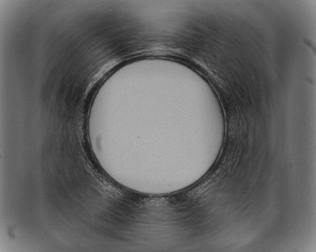 X0000097771410200804041142