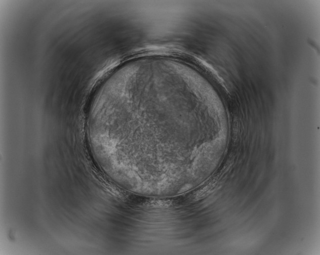 X0000097771411200804041142