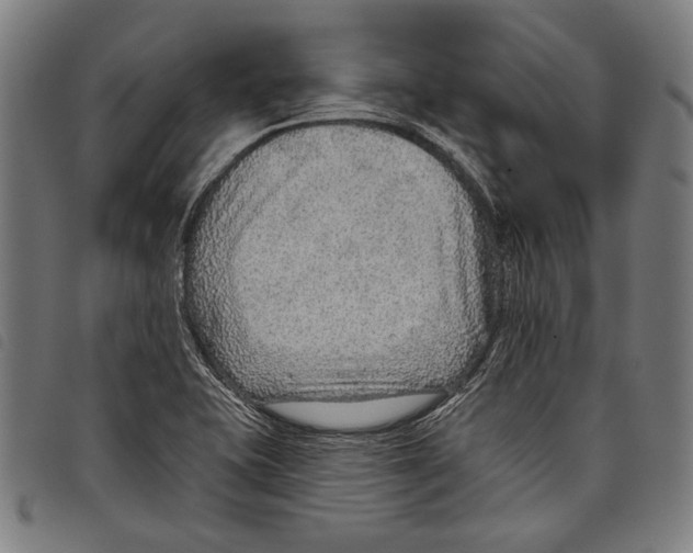 X0000097771415200804041142