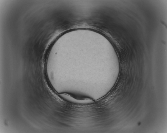 X0000097771416200804041142