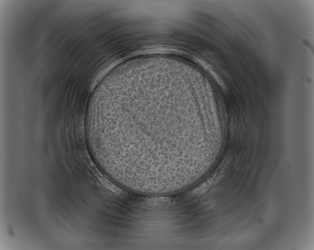 X0000097771417200804041142