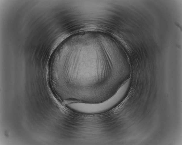 X0000097771418200804041142