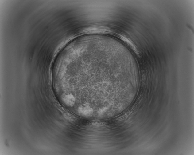 X0000097771419200804041142