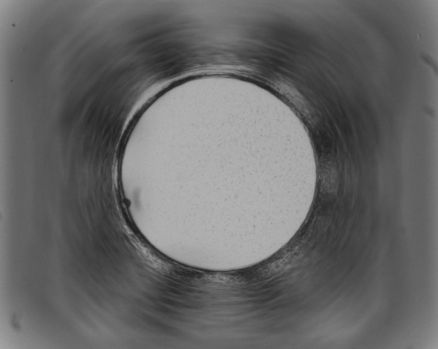 X0000097771420200804041142