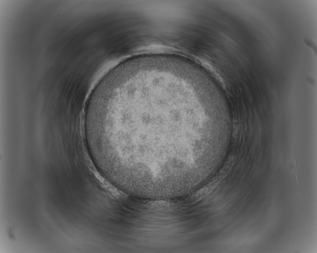 X0000097771421200804041142