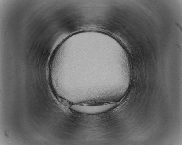 X0000097771424200804041142