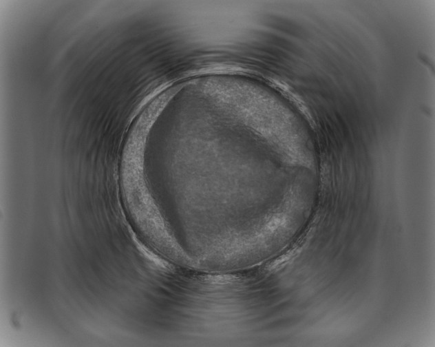 X0000097771425200804041142