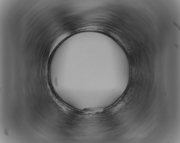 X0000097771426200804041142