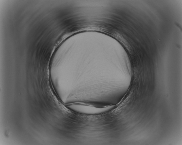 X0000097771428200804041142