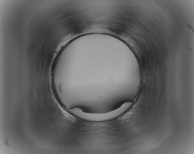 X0000097771430200804041142